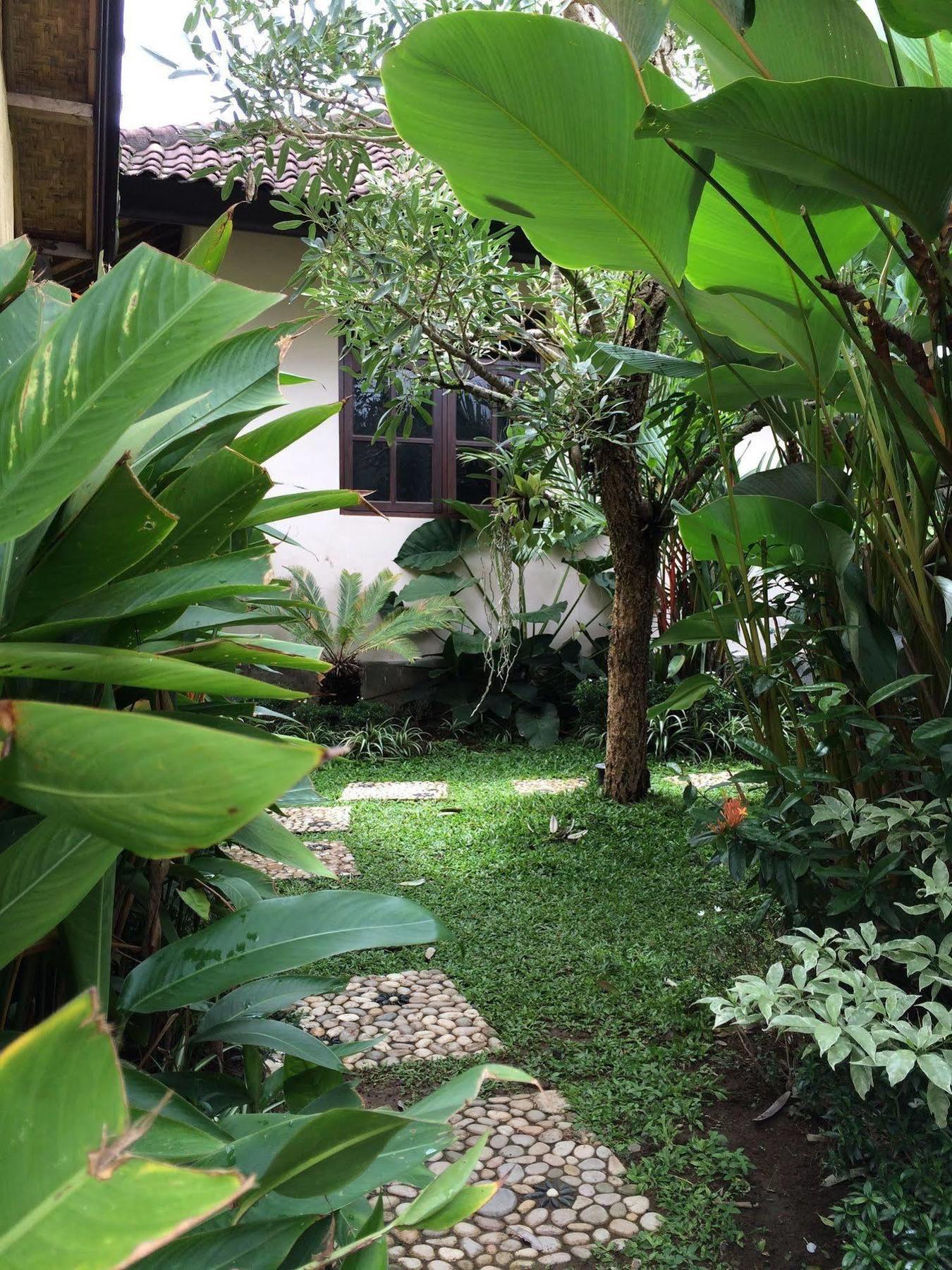 Uma Dewi Guest House Ubud  Ngoại thất bức ảnh